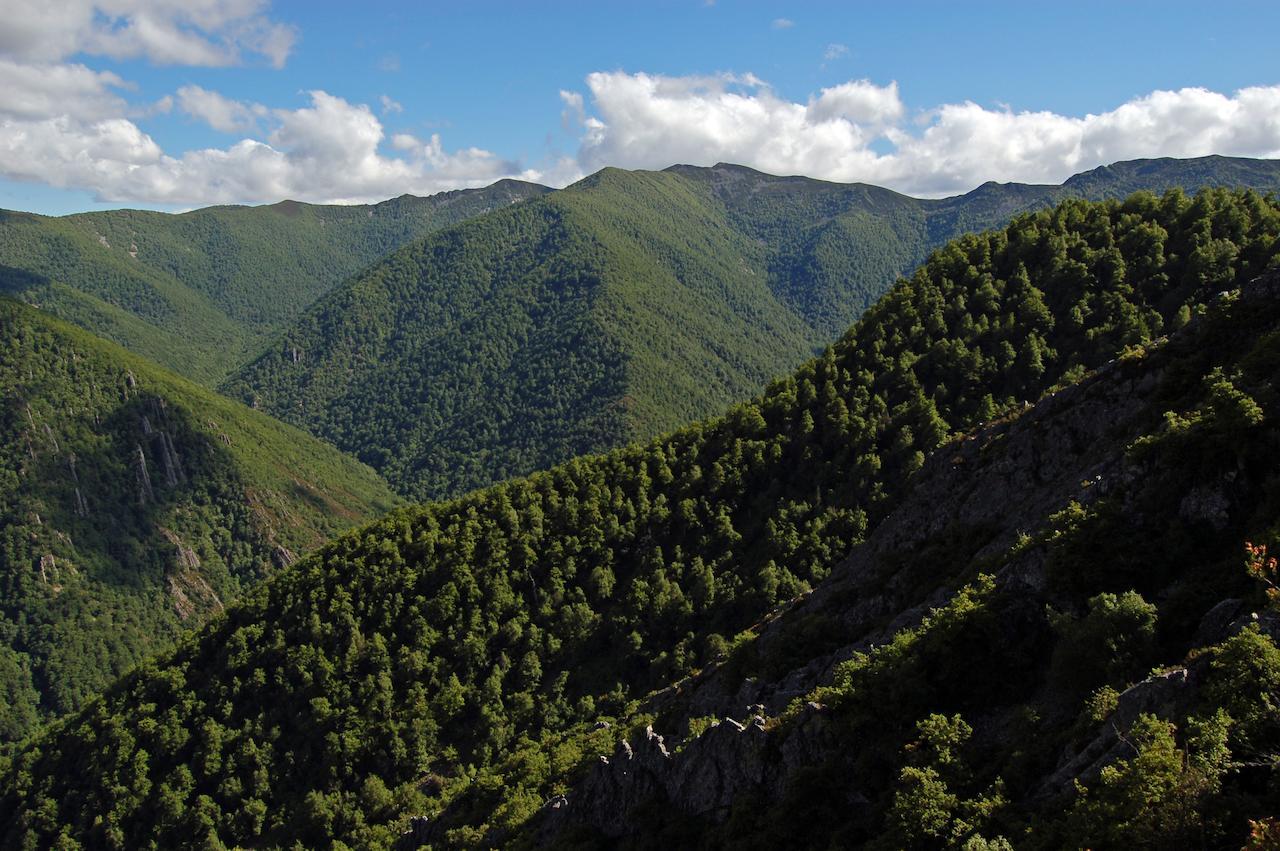 فندق El Mirador De Fuentes Del Narcea Moncó المظهر الخارجي الصورة