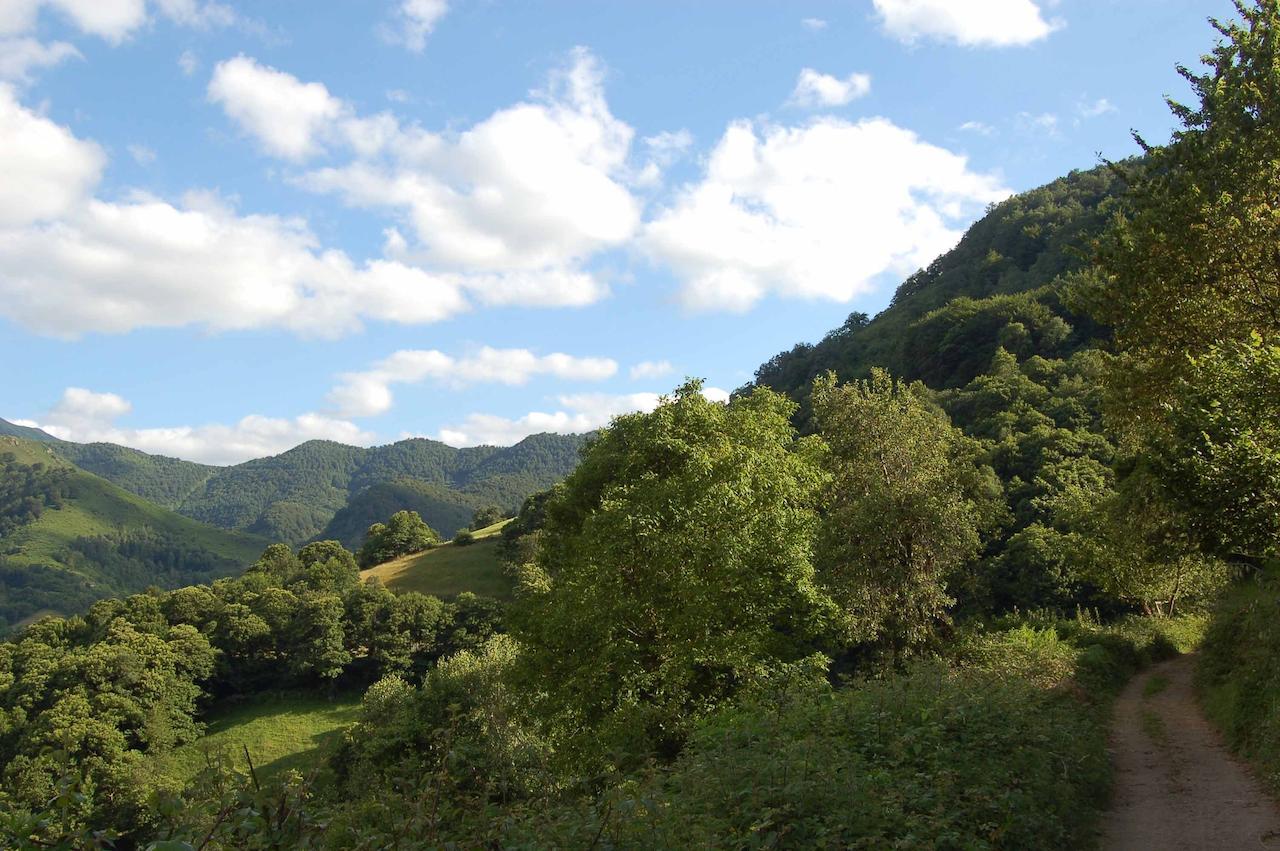 فندق El Mirador De Fuentes Del Narcea Moncó المظهر الخارجي الصورة