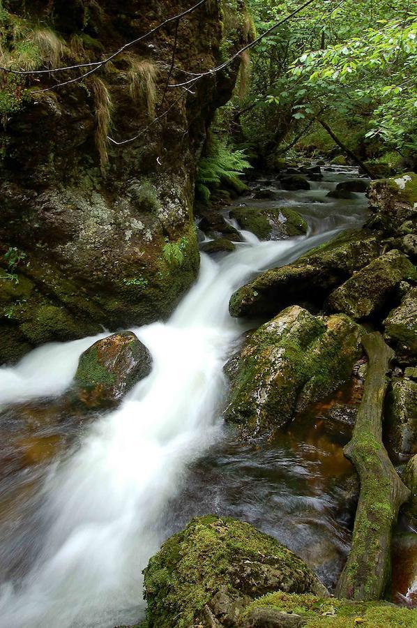 فندق El Mirador De Fuentes Del Narcea Moncó المظهر الخارجي الصورة