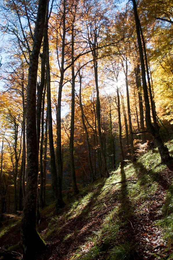 فندق El Mirador De Fuentes Del Narcea Moncó المظهر الخارجي الصورة