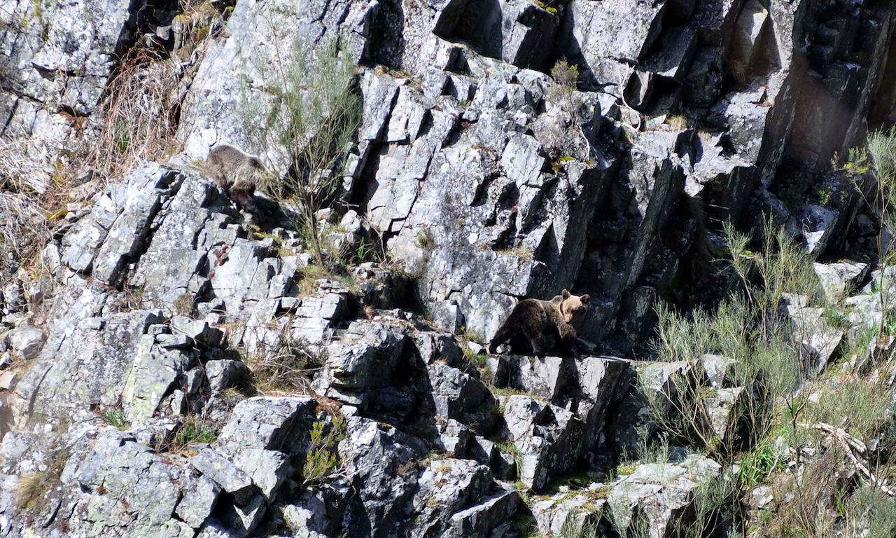 فندق El Mirador De Fuentes Del Narcea Moncó المظهر الخارجي الصورة