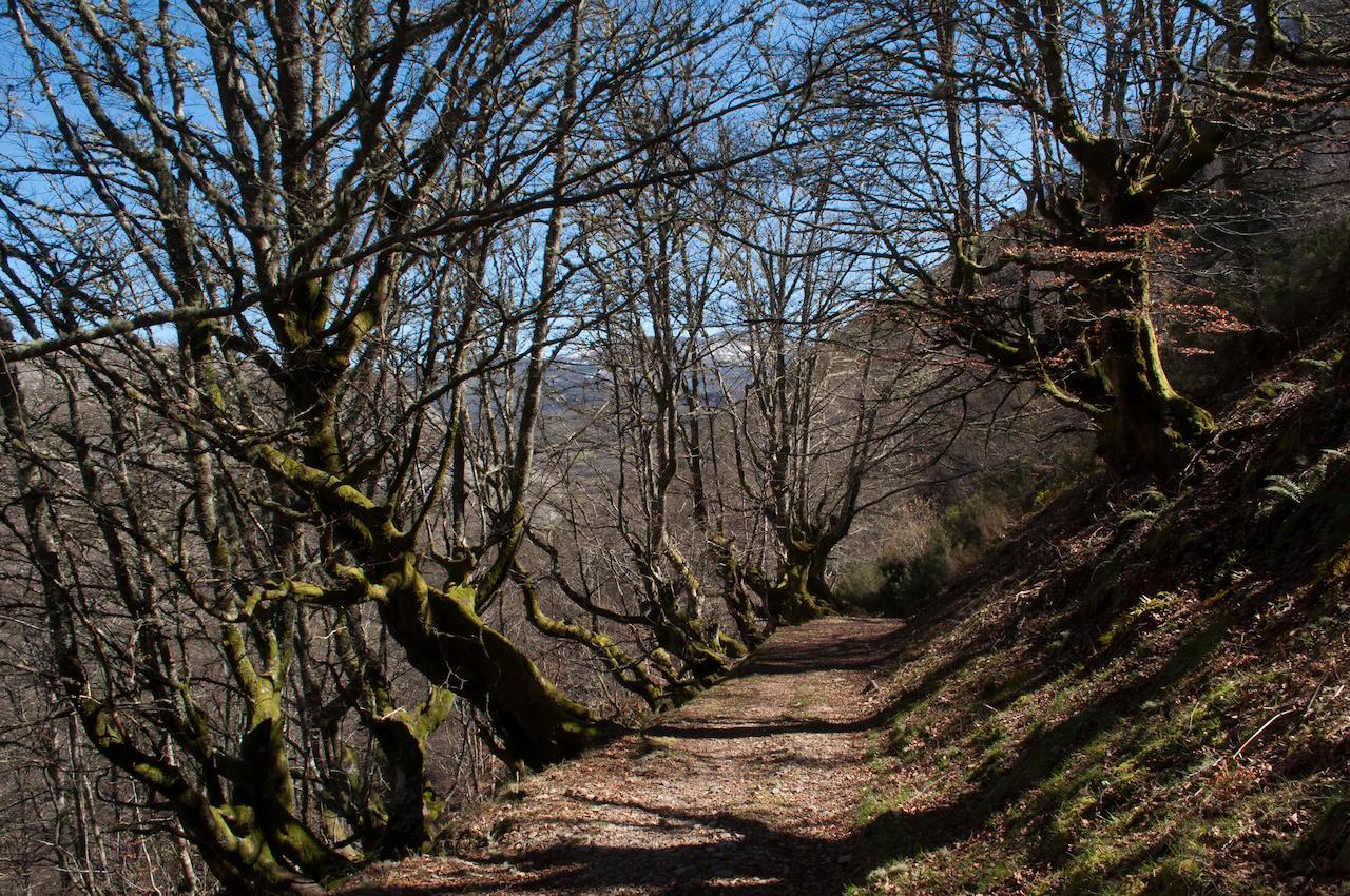 فندق El Mirador De Fuentes Del Narcea Moncó المظهر الخارجي الصورة